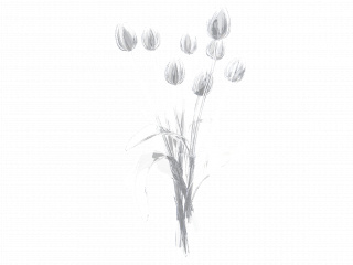 立体黑白花朵花卉植物C4D模型