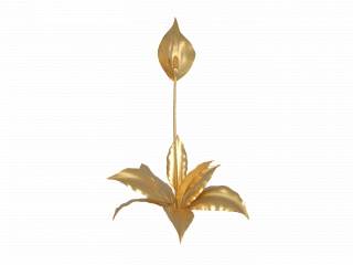 立体金色花朵花卉植物C4D模型
