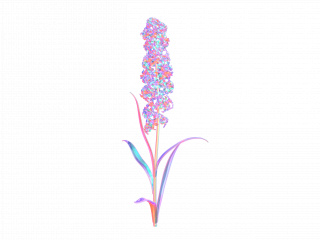 立体炫彩花朵花卉植物C4D模型