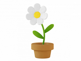 立体白色花朵花卉植物C4D模型