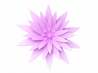立体紫色花朵花卉植物C4D模型