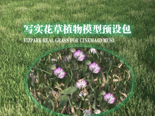 C4D预设 写实花草植物模型预设包 VIZPARK Real Grass for Cinema4D MUS3插件下载