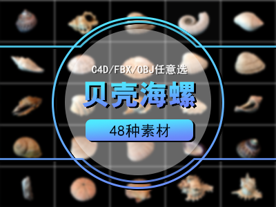 贝壳海螺C4D模型