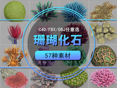 海洋生物 海底植物化石C4D模型