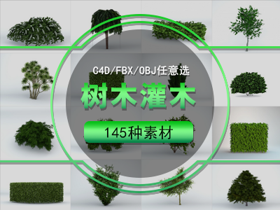 c4d代建模型动画制作渲染效果图 树木 灌木 产品设计C4D模型