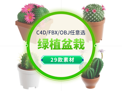 仙人掌盆栽 绿植 芦荟C4D模型